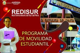 PROGRAMA DE MOVILIDAD ESTUDIANTIL, REDISUR